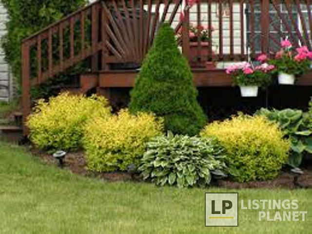 Big Heart Landscaping