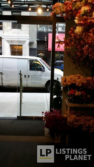 Pany Silk Flowers Corp