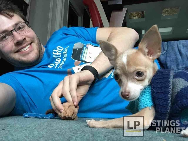 Swifto Dog Walking Upper East Side