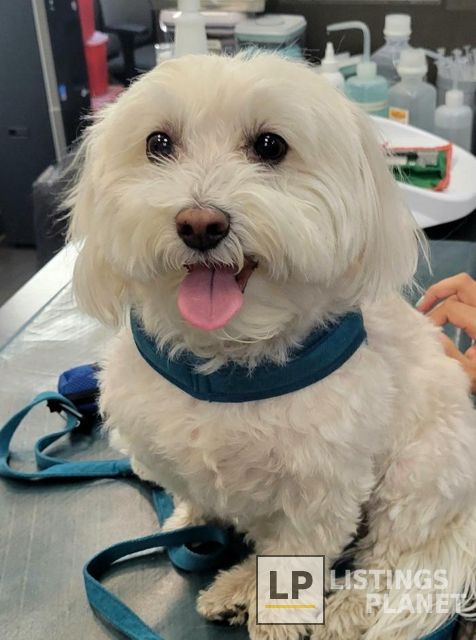 Hudson Animal Hospital