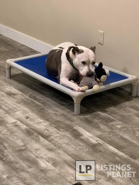 Elkhound Ranch Kennels