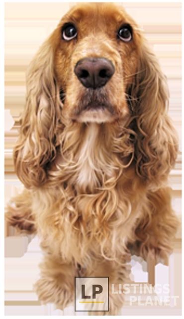 Pets First Veterinary Center