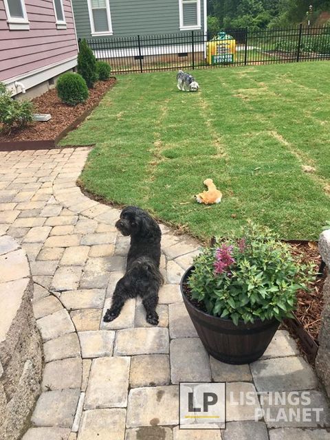 Fluffs of Luv Pet Sitting & Dog Walking