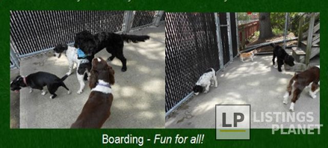 Village Veterinary Clinic