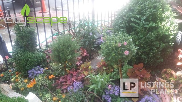 Cityscape Landscape LLC
