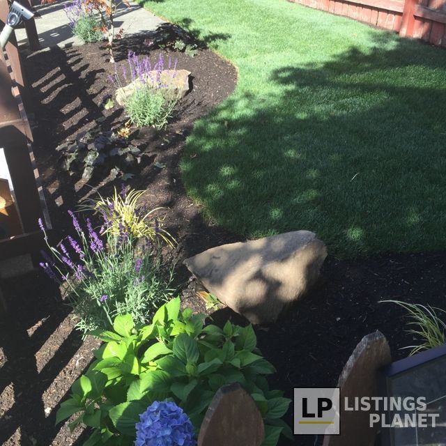 Amaya's Landscaping LLC