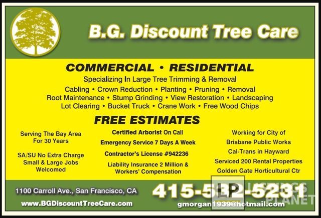B.G. Discount Tree Care