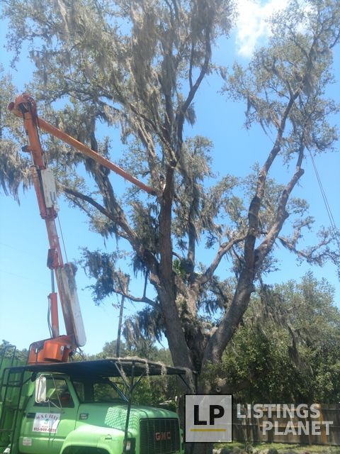 M & R  Tree Service & Landscaping