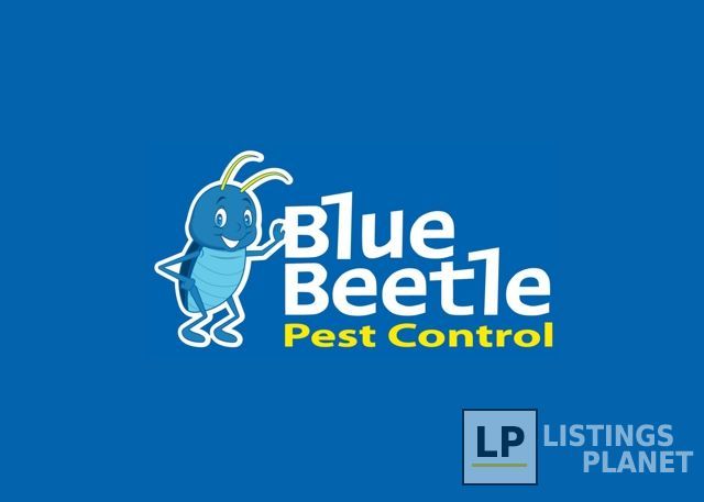 Blue Beetle Pest Control
