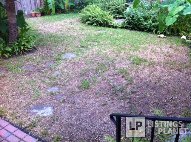 Brandon Pest Control