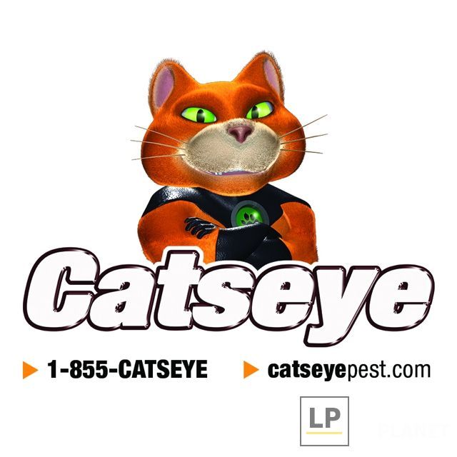 Catseye Pest Control - Boston, MA