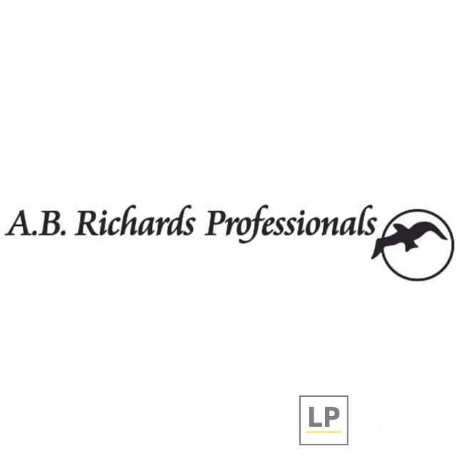 A. B. Richards Professionals