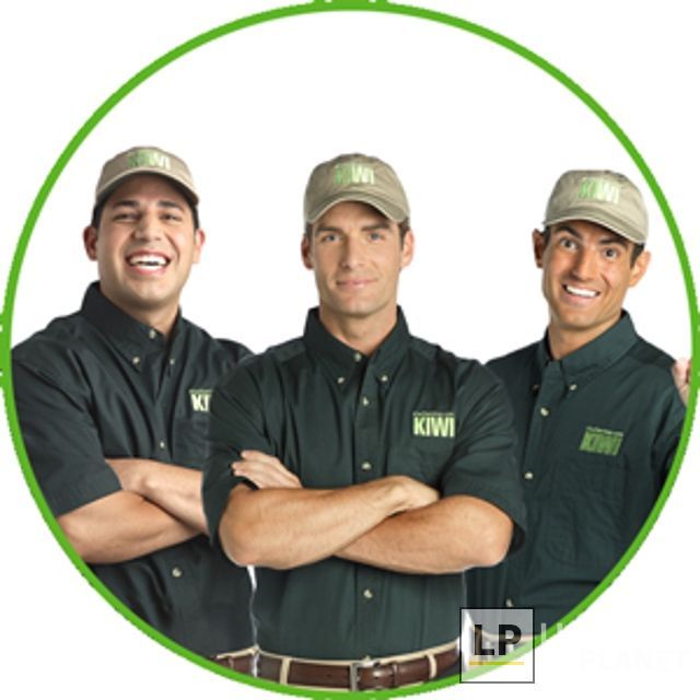 Kiwi Carpet Cleaning