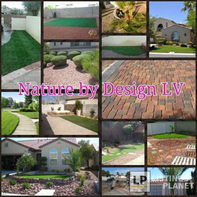 Nature By Design Lawn Care & Landscaping